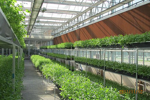 پد سلولزی گلخانه